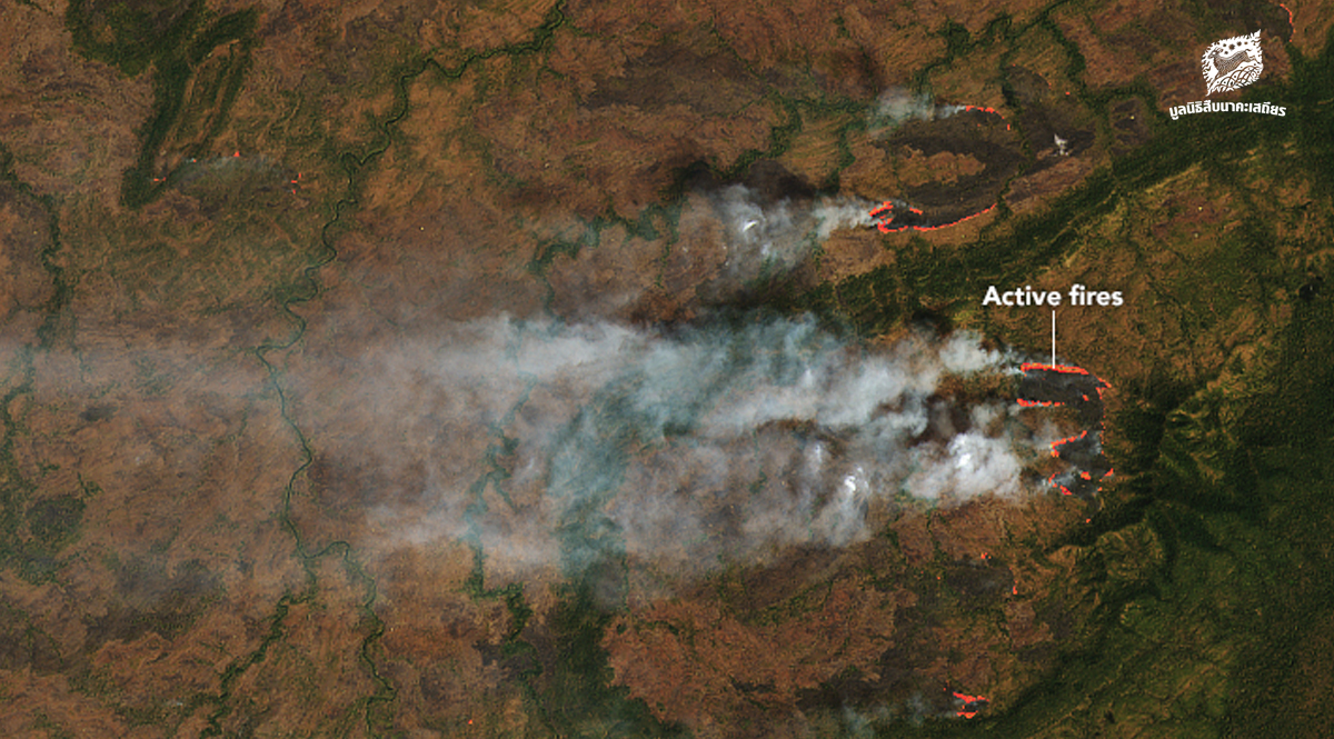 มองฤดูกาลแห่งไฟในภูมิภาคอาเซียนผ่านภาพถ่ายดาวเทียม