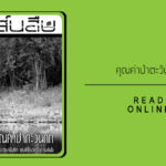 สาส์นสืบ – คุณค่าป่าตะวันตก