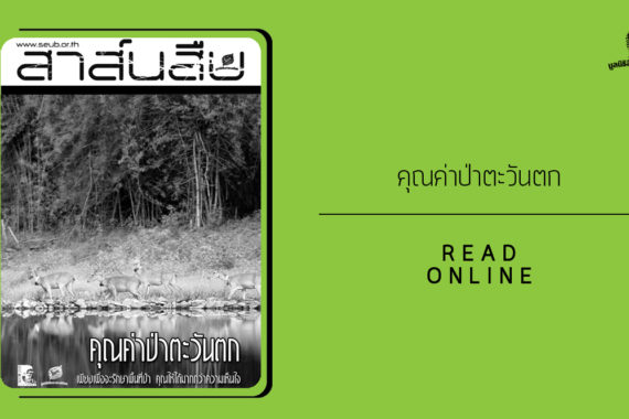 สาส์นสืบ – คุณค่าป่าตะวันตก