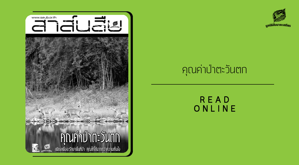 สาส์นสืบ – คุณค่าป่าตะวันตก