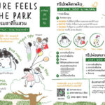 Nature Feels in the Park ตอน WATCH WALK BIKE ในสวนศรีฯ