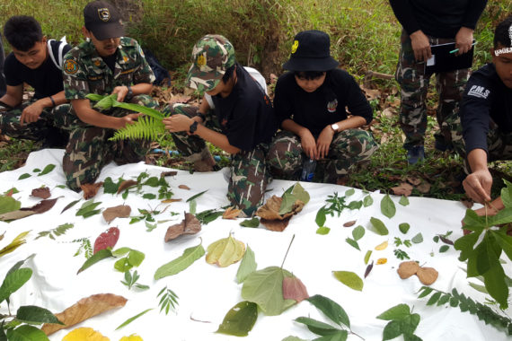 อบรมนักสื่อความหมายธรรมชาติ ที่ทุ่งใหญ่ตะวันตก