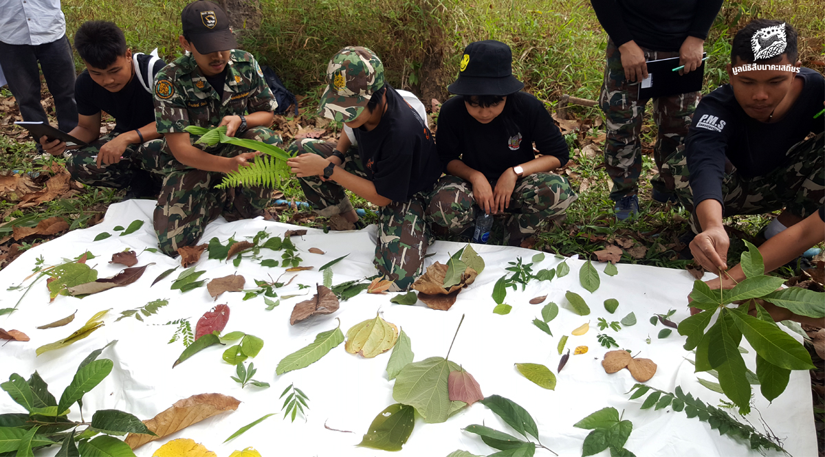 อบรมนักสื่อความหมายธรรมชาติ ที่ทุ่งใหญ่ตะวันตก