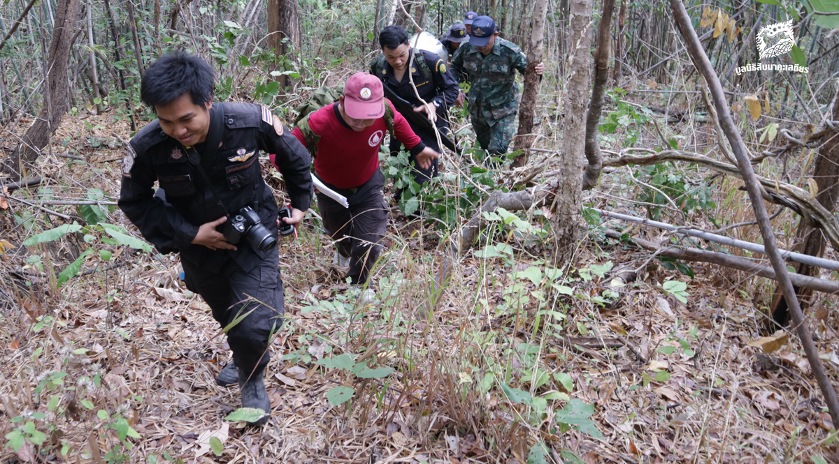 ลาดตระเวนร่วมรักษาป่าสงวนแห่งชาติ ป่าองค์พระ ป่าพุระกำ และป่าเขาห้วยพลู