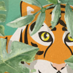 รู้รักษ์ป่า – เรื่องของเสือ