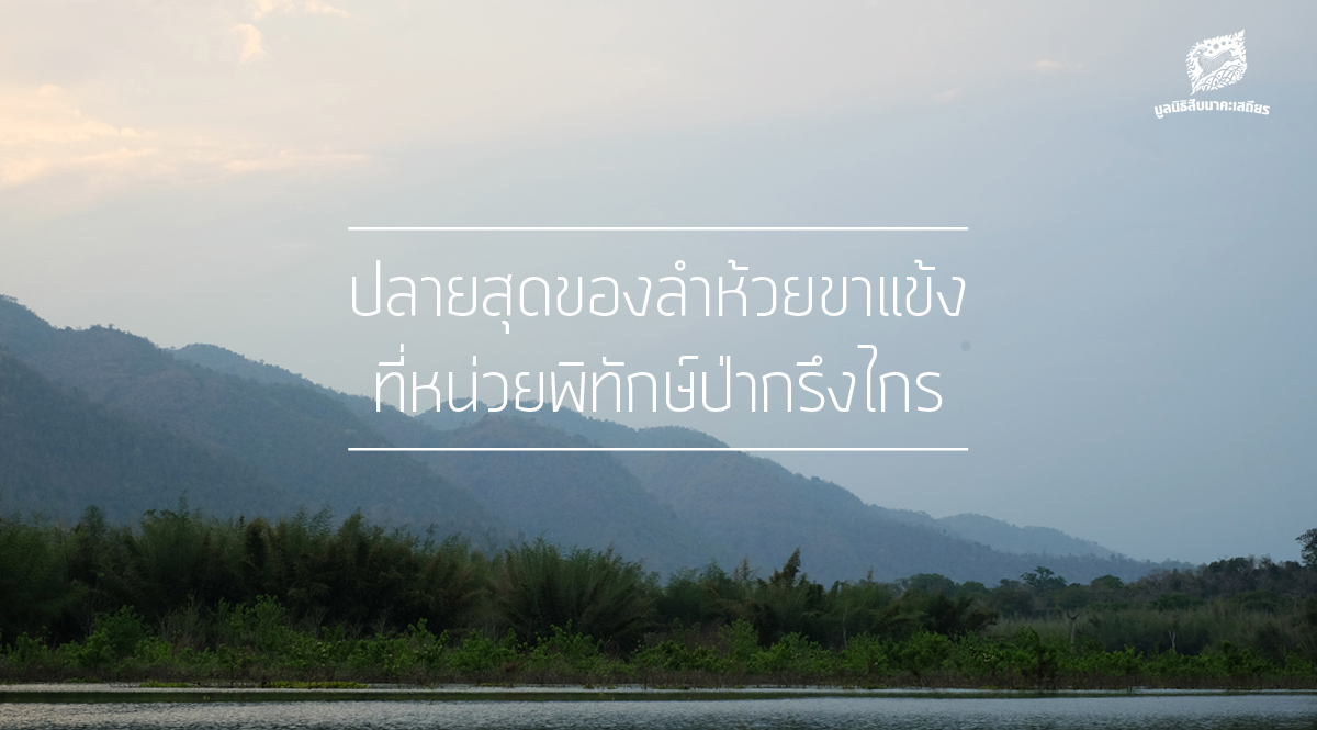 ปลายสุดของลำห้วยขาแข้ง… ที่หน่วยพิทักษ์ป่ากรึงไกร