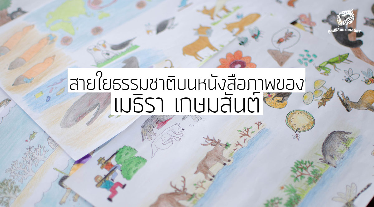 สายใยธรรมชาติบนหนังสือภาพของ เมธิรา เกษมสันต์