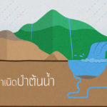 รู้รักษ์ป่า – แหล่งกำเนิดป่าต้นน้ำ