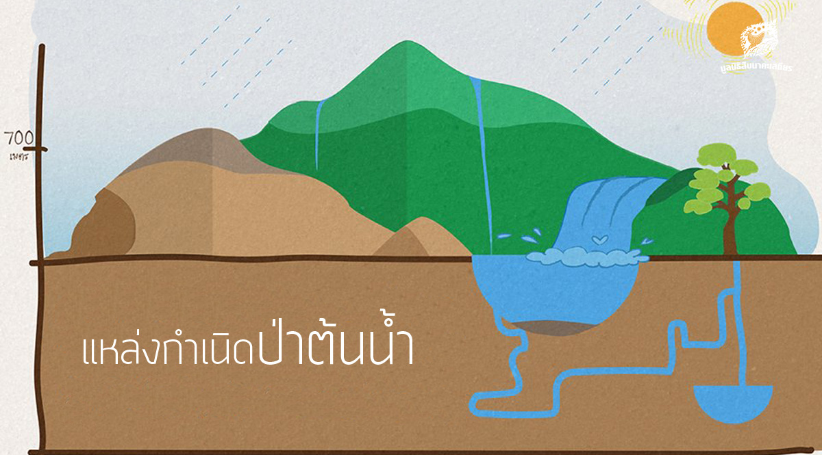 รู้รักษ์ป่า – แหล่งกำเนิดป่าต้นน้ำ