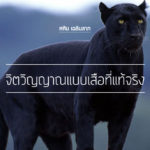 จิตวิญญาณแบบเสือที่แท้จริง