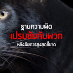 ฐานความผิด เปรมชัยกับพวก หลังอัยการสูงสุดชี้ขาด