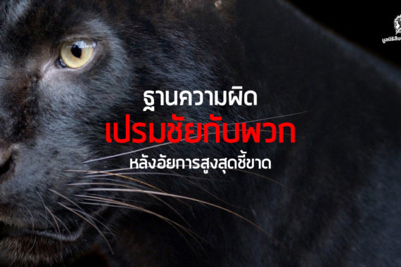 ฐานความผิด เปรมชัยกับพวก หลังอัยการสูงสุดชี้ขาด