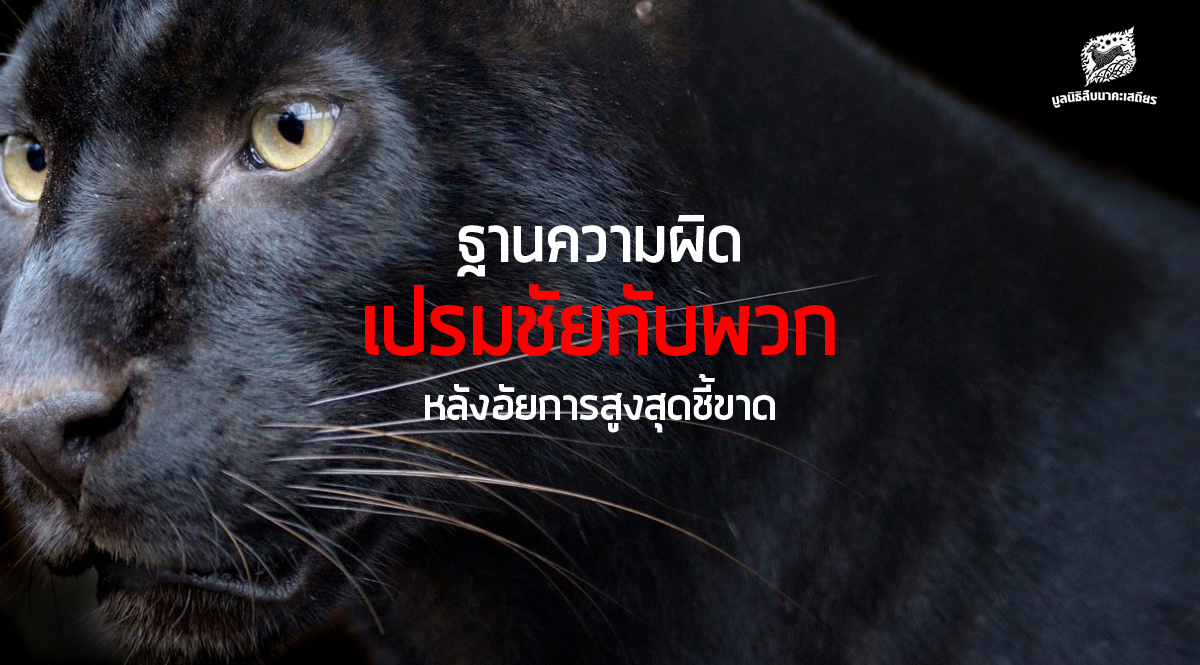 ฐานความผิด เปรมชัยกับพวก หลังอัยการสูงสุดชี้ขาด