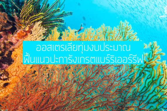 ออสเตรเลียทุ่มงบประมาณ ฟื้นแนวปะการังเกรตแบร์ริเออร์รีฟ