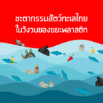 ชะตากรรมสัตว์ทะเลไทยในวังวนของขยะพลาสติก