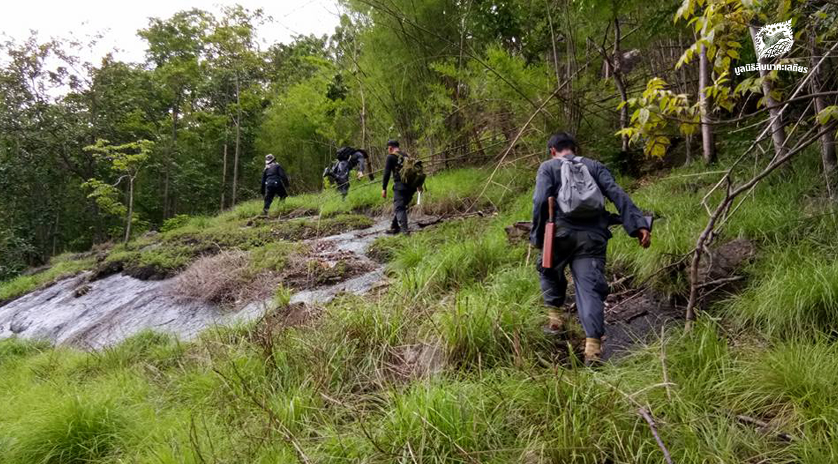 ลาดตระเวนพื้นที่ป่าสงวนแห่งชาติป่าองค์พระ ป่าเขาพุระกำและป่าเขาห้วยพลู