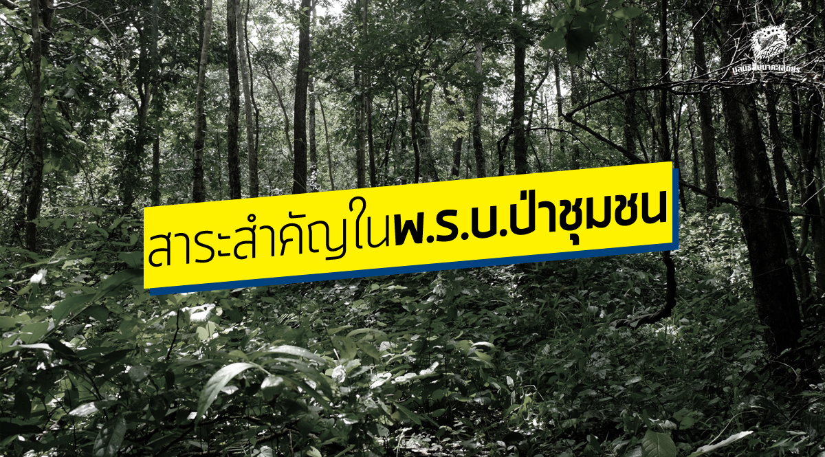 สาระสำคัญในพ.ร.บ.ป่าชุมชน