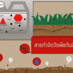 รู้รักษ์ป่า – สารกำจัดวัชพืชกับสิ่งแวดล้อม