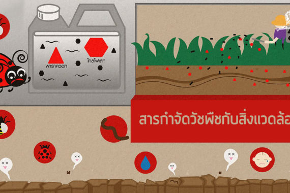 รู้รักษ์ป่า – สารกำจัดวัชพืชกับสิ่งแวดล้อม