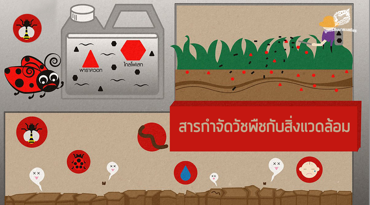 รู้รักษ์ป่า – สารกำจัดวัชพืชกับสิ่งแวดล้อม