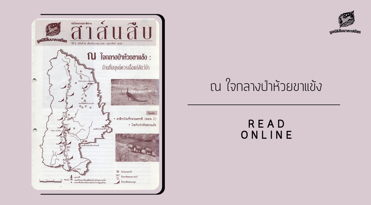 สาส์นสืบ – ณ ใจกลางป่าห้วยขาแข้ง