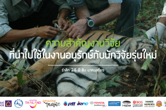 รำลึก 28 ปี สืบ นาคะเสถียร : ความสำคัญงานวิจัย ที่นำไปใช้ในงานอนุรักษ์ กับนักวิจัยรุ่นใหม่