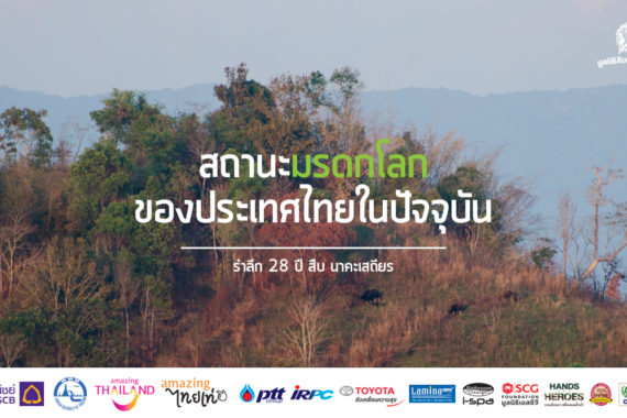 รำลึก 28 ปี สืบ นาคะเสถียร : สถานะมรดกโลกของประเทศไทยในปัจจุบัน