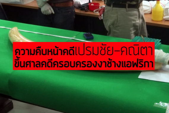 ความคืบหน้า เปรมชัย-คณิตา ขึ้นศาลคดีครอบครองงาช้างแอฟริกา