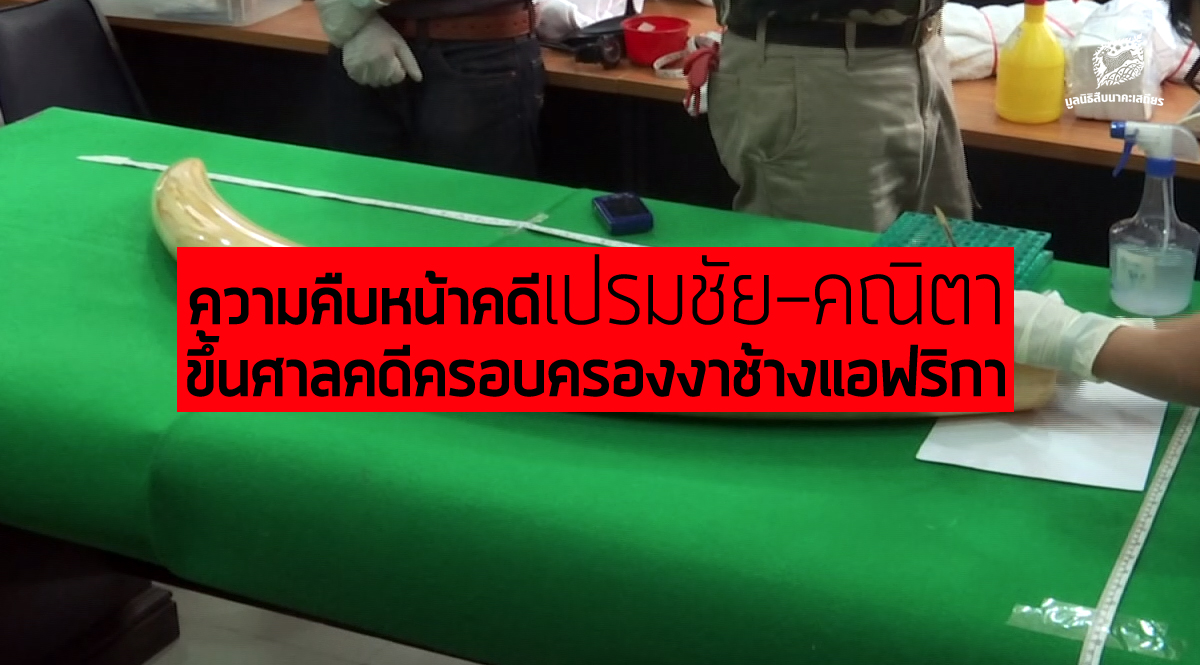 ความคืบหน้า เปรมชัย-คณิตา ขึ้นศาลคดีครอบครองงาช้างแอฟริกา