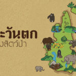 ป่าตะวันตก บ้านของสัตว์ป่า