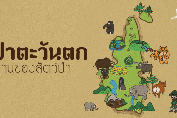 ป่าตะวันตก บ้านของสัตว์ป่า