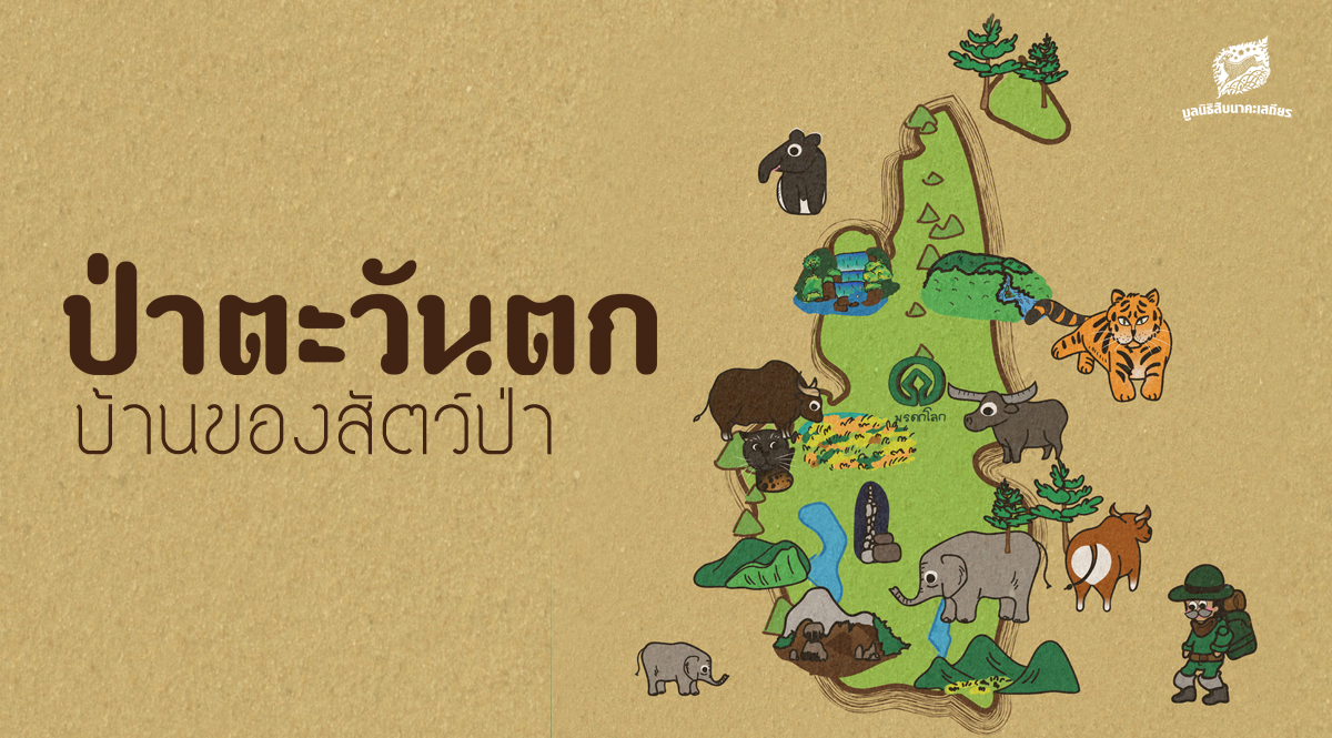 ป่าตะวันตก บ้านของสัตว์ป่า