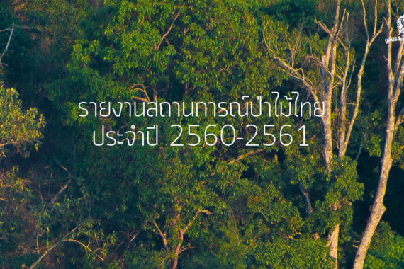 รายงาน สถานการณ์ป่าไม้ไทย 2560-2561