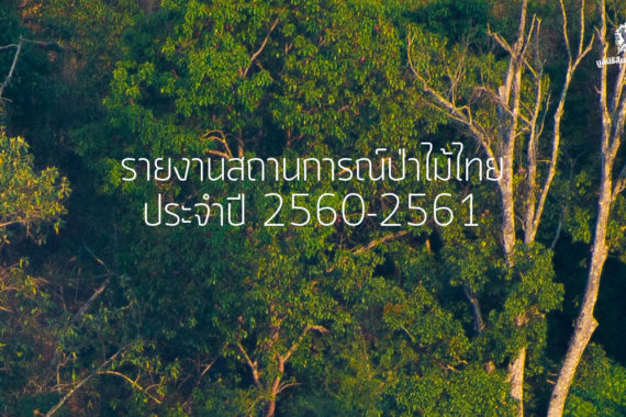 รายงาน สถานการณ์ป่าไม้ไทย 2560-2561