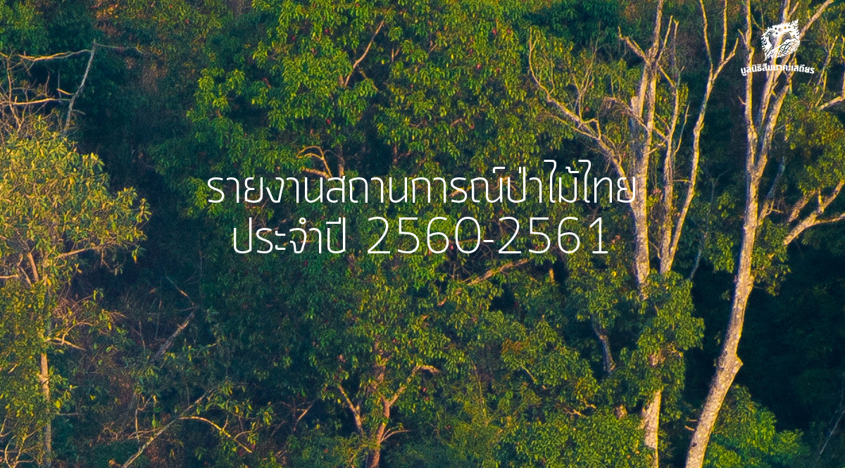 รายงาน สถานการณ์ป่าไม้ไทย 2560-2561