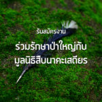 ปิด – เปิดรับสมัครงาน ร่วมรักษาป่าใหญ่กับ “มูลนิธิสืบนาคะเสถียร”