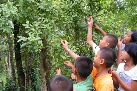 ถอดบทเรียน 3 ปี โครงการพัฒนาวิสาหกิจชุมชนในผืนป่าตะวันตก เป็นไปได้ไหมที่คนกับป่าจะอยู่ร่วมกันอย่างสันติสุข
