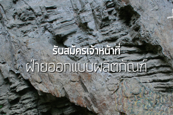 เปิดรับสมัครงาน เจ้าหน้าที่ฝ่ายพัฒนาระบบรายได้ ด้านออกแบบผลิตภัณฑ์