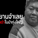 สรุปเหตุการณ์ สืบพยานจำเลย คดีล่าเสือดำ (19-21 ธ.ค. 61)