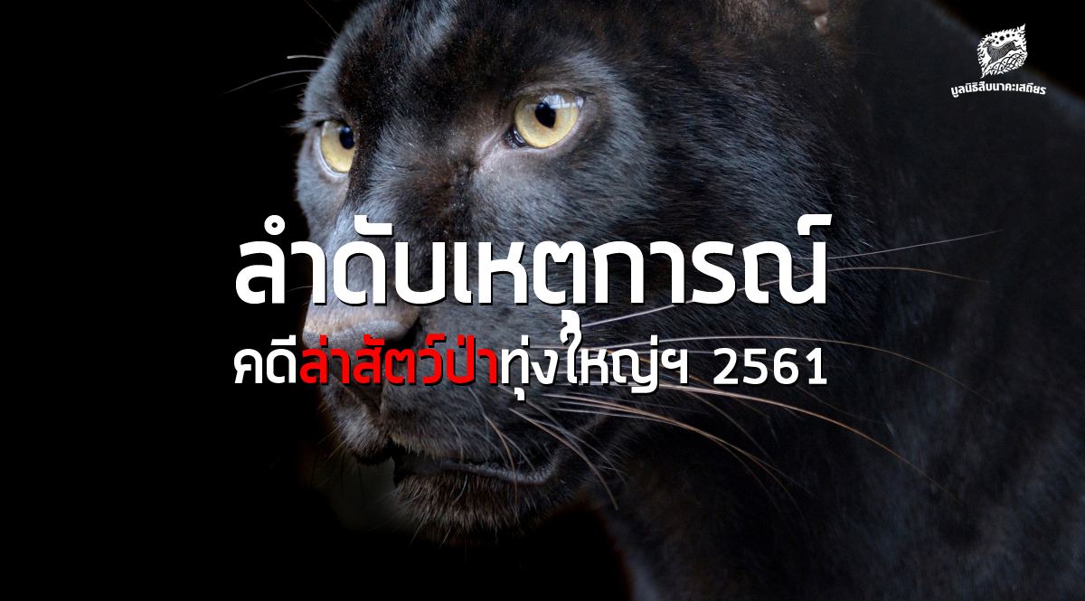 ลำดับเหตุการณ์คดีล่าสัตว์ป่าทุ่งใหญ่ฯ 2561