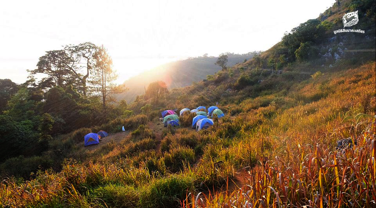 ดอยหลวงเชียงดาว….กับเรื่องราวที่เปลี่ยนไป