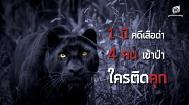 1 ปี คดีเสือดำ 4 คนเข้าป่าใครติดคุก?