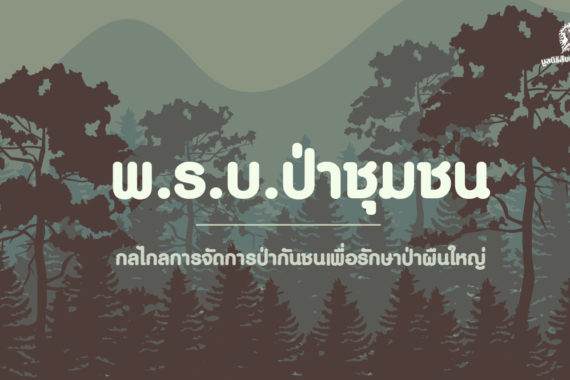 พ.ร.บ.ป่าชุมชน กลไกลการจัดการป่ากันชนเพื่อรักษาป่าผืนใหญ่