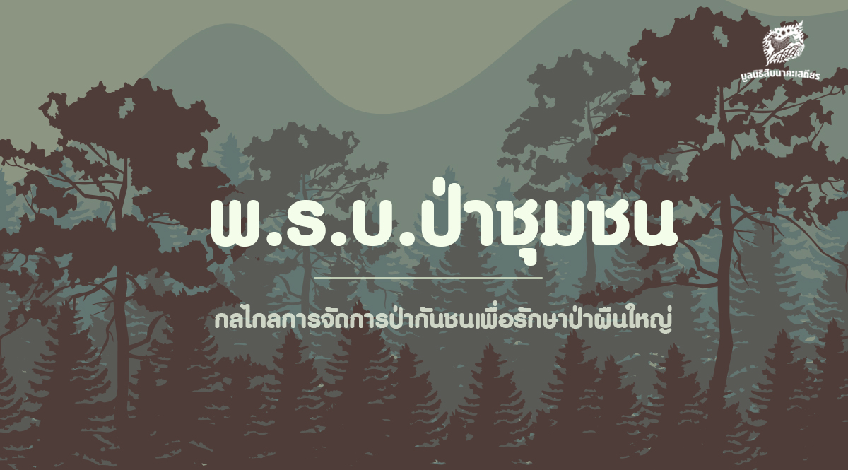 พ.ร.บ.ป่าชุมชน กลไกลการจัดการป่ากันชนเพื่อรักษาป่าผืนใหญ่