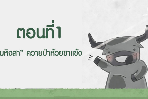 การ์ตูนมหิงสา ตอนที่1 “มหิงสา” ควายป่าห้วยขาแข้ง