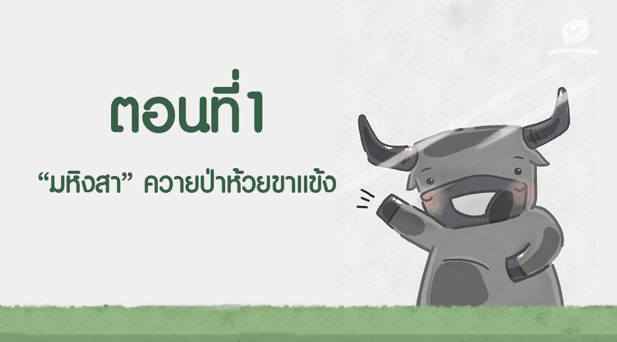 การ์ตูนมหิงสา ตอนที่1 “มหิงสา” ควายป่าห้วยขาแข้ง