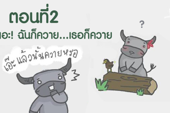 การ์ตูนมหิงสา ตอนที่ 2 เอ๊ะ! ฉันก็ควาย…เธอก็ควาย