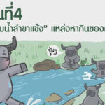 การ์ตูนมหิงสา ตอนที่4 : “ที่ราบริมน้ำลำขาแข้ง” แหล่งหากินของควายป่า