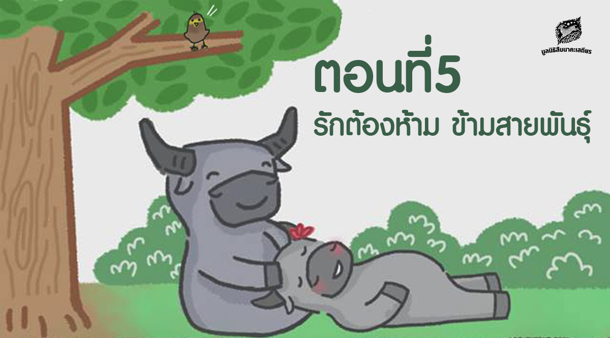 การ์ตูนมหิงสา ตอนที่5 : รักต้องห้ามข้ามสายพันธุ์