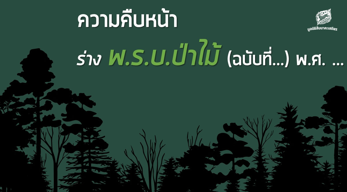 ร่างพ.ร.บ.ป่าไม้ (ฉบับที่…) พ.ศ. …